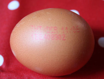 Niet Europa maar Delhaize lost vrije-uitloop-dilemma op