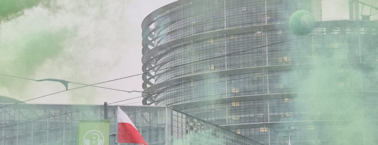 725eae50-4197-47a2-8ce7-4eedd041ab2b (1)