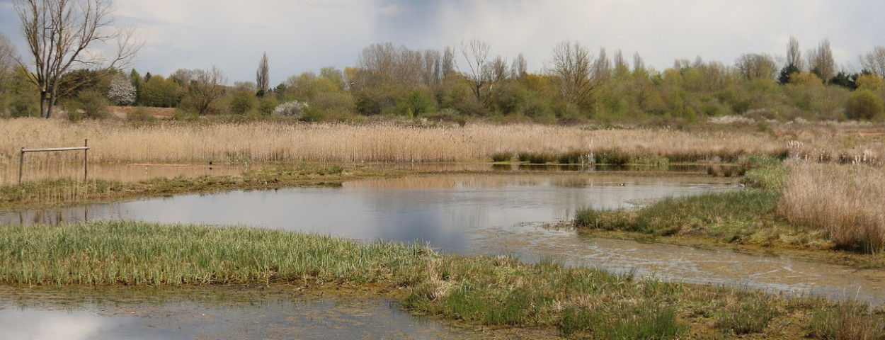 rietveldwaterzuivering