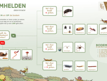 Kinderen zoeken deze maand naar 'bodemhelden'