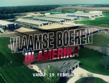 PlattelandsTv bezoekt Vlaamse boeren in de VS
