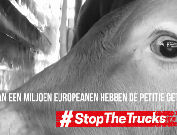 Meer dan miljoen Europeanen wil af van ver veetransport