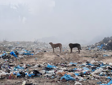 VN: Gaza lijdt honger, maar landbouw onmogelijk door giftige grond