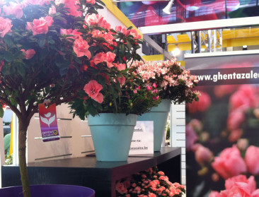 VLAM blijft inzetten op Poolse sierteeltmarkt