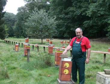 Herman Torfs (imker)