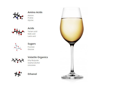 Amerikaanse start-up maakt wijn zonder druiven