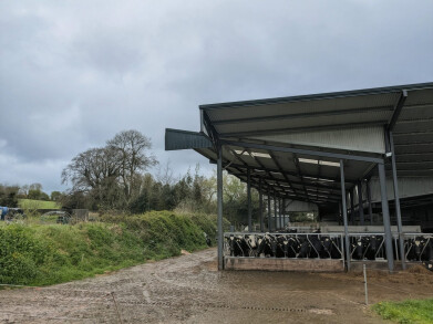 WhatsApp Image 2026-04-21 at 19.51.48