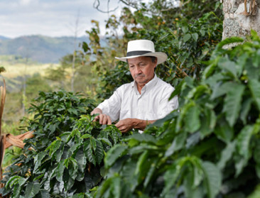 Druk op rentabiliteit is geen uniek Belgisch probleem