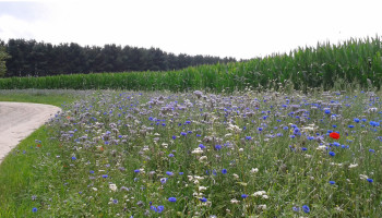 Bijna 9 op de 10 Vlaamse landbouwers passen milieu- en klimaatmaatregelen toe