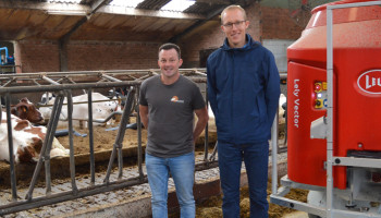 Ingenieur en boerenzoon Maarten Perneel introduceert AI in de melkveestal