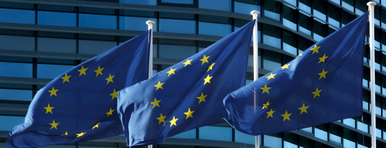 vlag eu europa_ EP