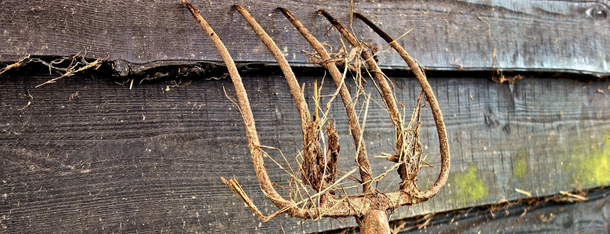 pitch-fork-3068529_1920