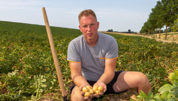 Aardappelboer vreest veertig procent minder opbrengst door droogte