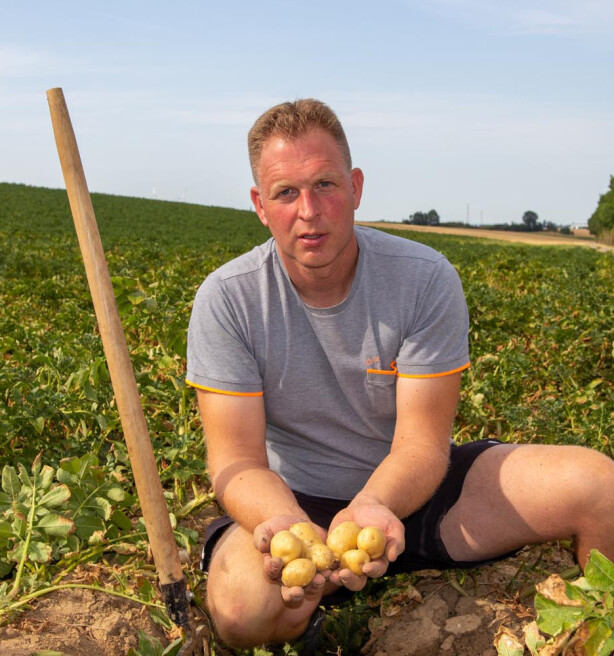 Aardappelboer vreest veertig procent minder opbrengst door droogte