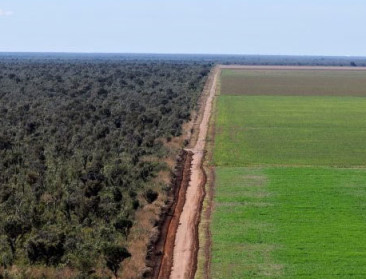 EUDR dreigt Europese veevoederketen te ontwrichten: kosten kunnen oplopen tot 1,5 miljard euro