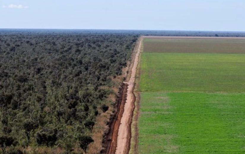 EUDR dreigt Europese veevoederketen te ontwrichten: kosten kunnen oplopen tot 1,5 miljard euro