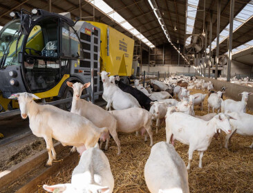Kaasmaker Capra vraagt van geitenhouders inspanningen rond duurzaamheid