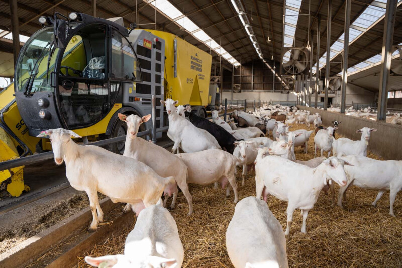 Zelfrijdende mengvoerwagen geitenbedrijf Ennoh
