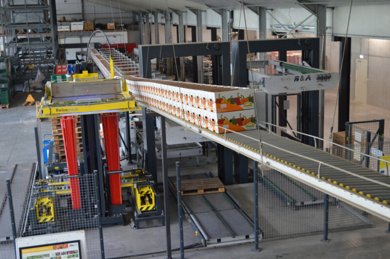 sorteerinstallatie paprika gemapa