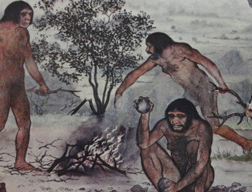 "Vlees eten is een evolutionair en sociaal proces"