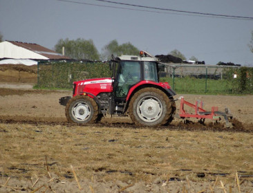 Crisis zorgt niet voor exodus in Belgische landbouw