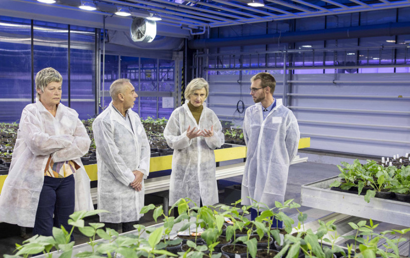 Agro-Incubator VIB moet broedplaats voor nieuwe teelten en teelttechnieken worden
