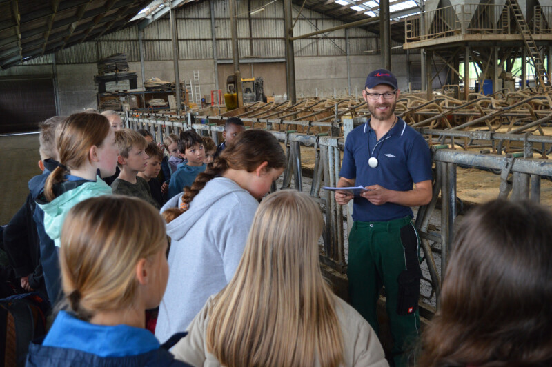 stem op de boerderij