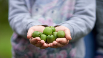 Kiwibes combineert lokaal karakter met de gezondheidskracht van kiwi