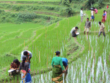 België ondersteunt FAO met 14 miljoen euro