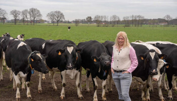 Boerin Eline gaat voor tijdelijke buitengebruikstelling en hoopt op nieuwe PAS-technieken