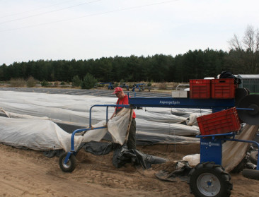 Limburg zoekt en vindt innovatie in groenteteelt