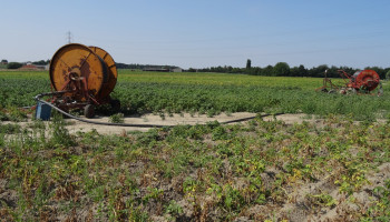 Klimaatrapport blikt terug, recorddroogte in 2025 bracht klap voor landbouw en natuur