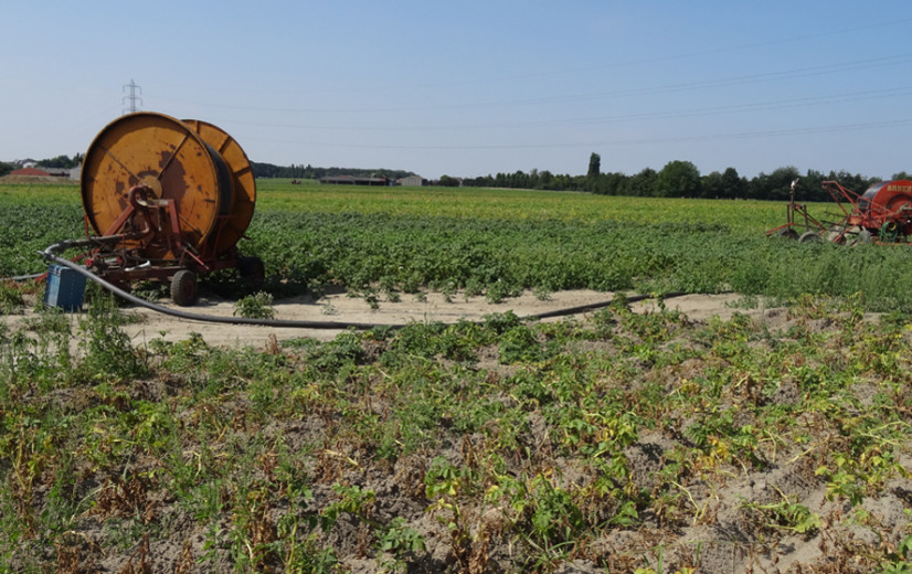 Klimaatrapport blikt terug: recorddroogte in 2025 bracht klap voor landbouw en natuur