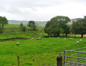 Landbouw op het Britse eiland