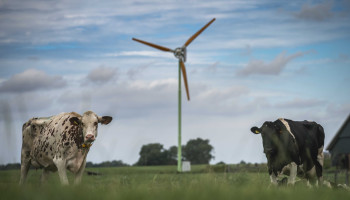 Belgisch bedrijf in de running voor doorstart failliete windmolenbouwer EAZ