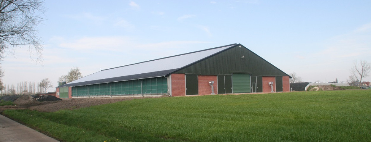 Hens melkveestal II