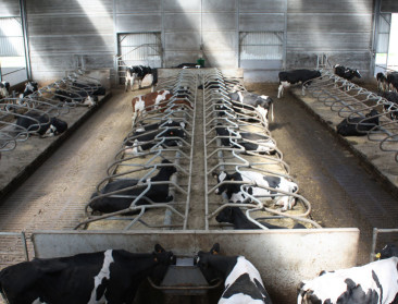 Meerproductie melk van 2015 volledig in Europese opslag