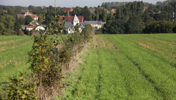 Vlaanderen heeft 3.350 kilometer extra hagen nodig