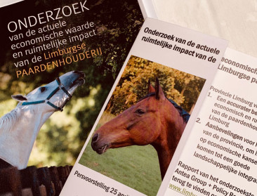 Paardenhouderij drukt zijn stempel op Limburg