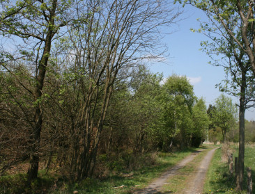 Stedeling gehechter aan natuur dan plattelandsbewoner