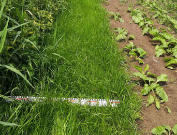Vegaplan waakt mee over de waterkwaliteit in Vlaanderen