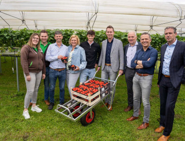 Limburgse teler wijst Brouns op uitdagingen in de aardbeienteelt