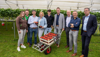 Limburgse teler wijst Brouns op uitdagingen in de aardbeienteelt