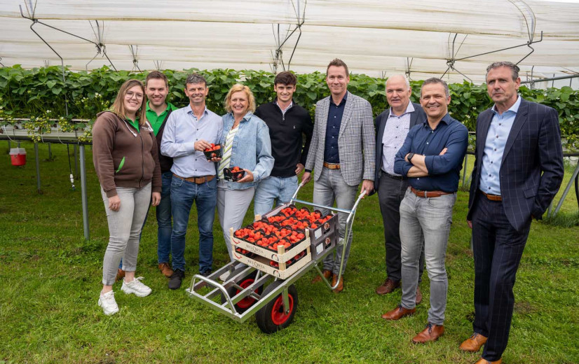 Limburgse teler wijst Brouns op uitdagingen in de aardbeienteelt