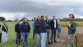 Protealis lokt sojaliefhebbers naar Gent met koudebestendige soja