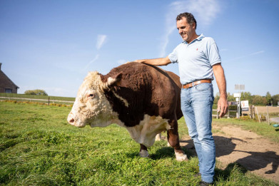Johan Christiaens _Hereford2