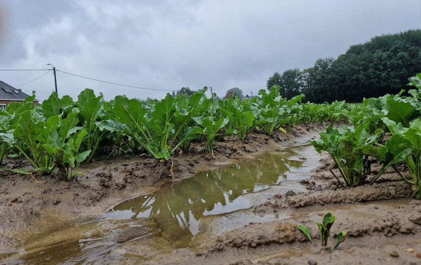 ABS pleit voor fiscale maatregel na extreme regenval