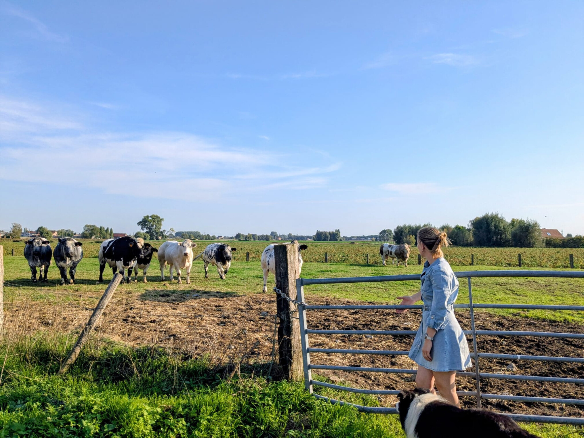 Debby Deprez 2