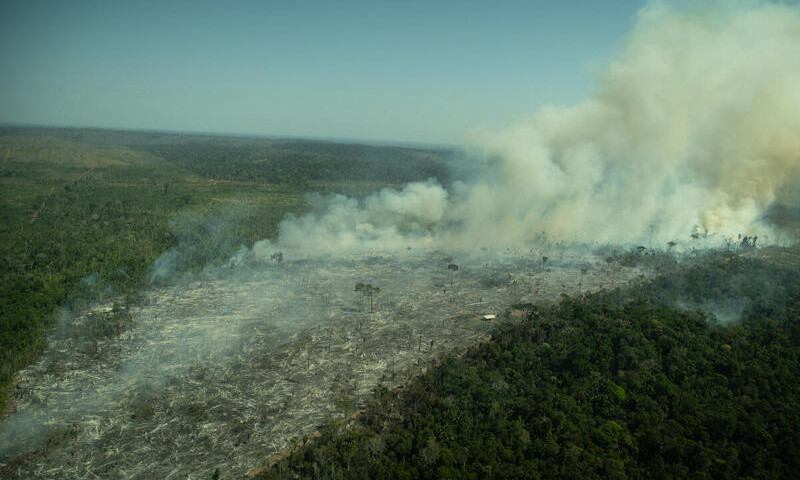 amazone-bosbrand-greenpeace