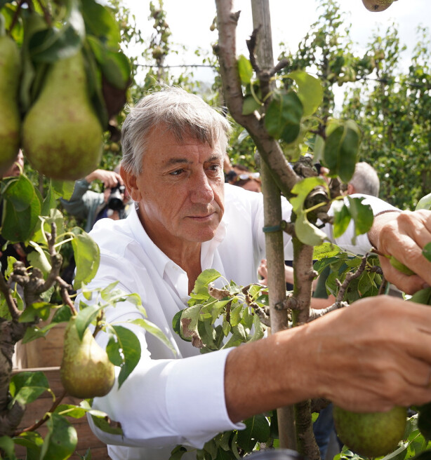 Plukseizoen conference uitzonderlijk vroeg afgetrapt: Minister Jambon onder indruk van klimaatmaatregelen